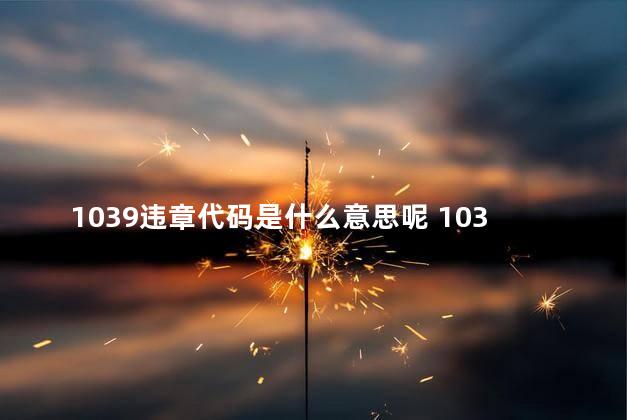 1039违章代码是什么意思呢 1039违章代码是什么意思怎么处理